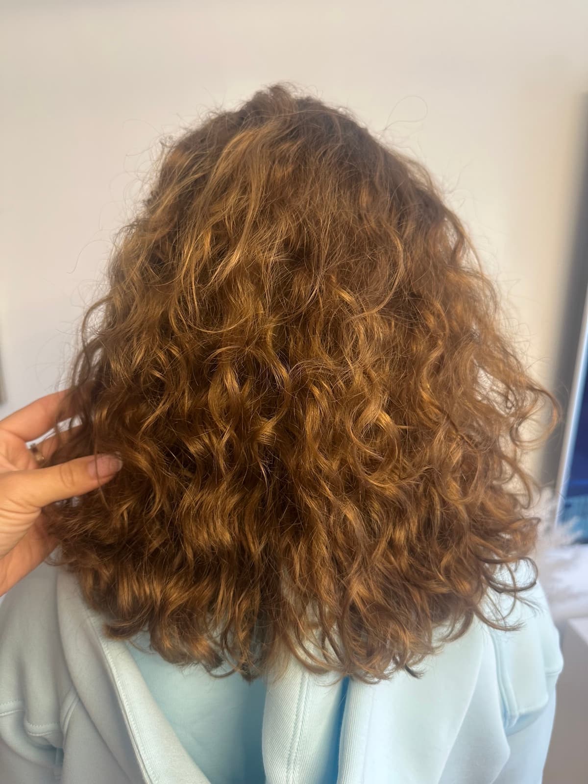 Cheveux bouclés naturels avant lissage